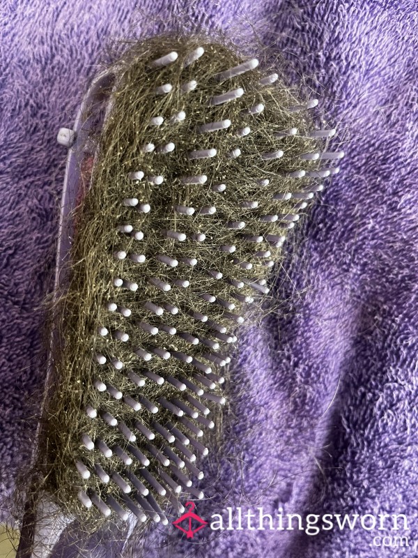 Hair From My Brush