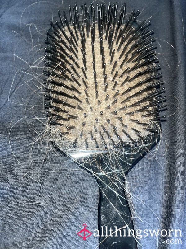 Hair From My Full Hairbrush