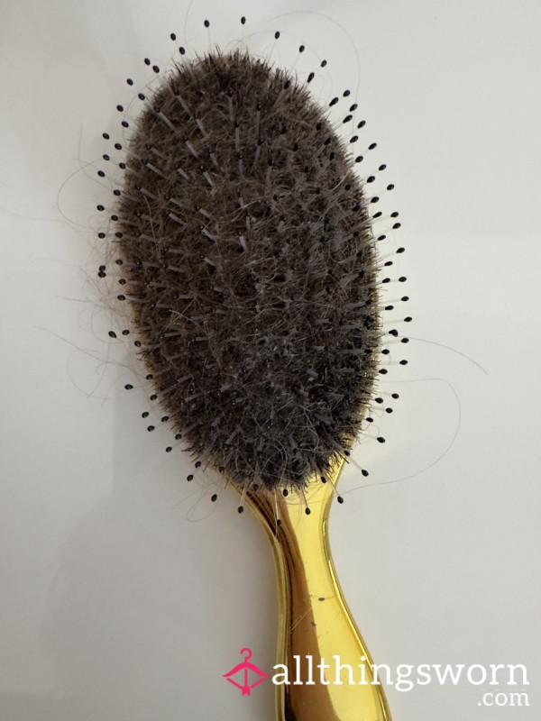 Hair From My Hair Brush