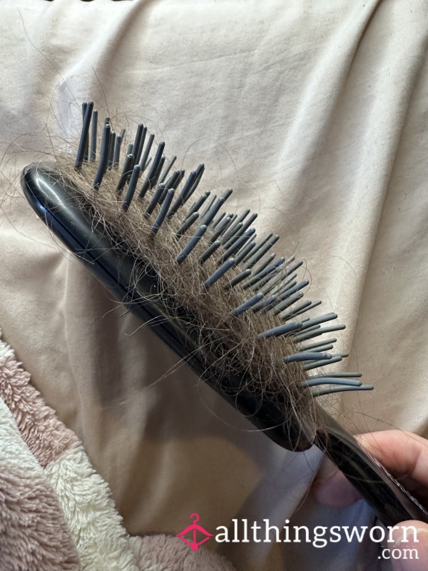 Hair From My Hair Brush