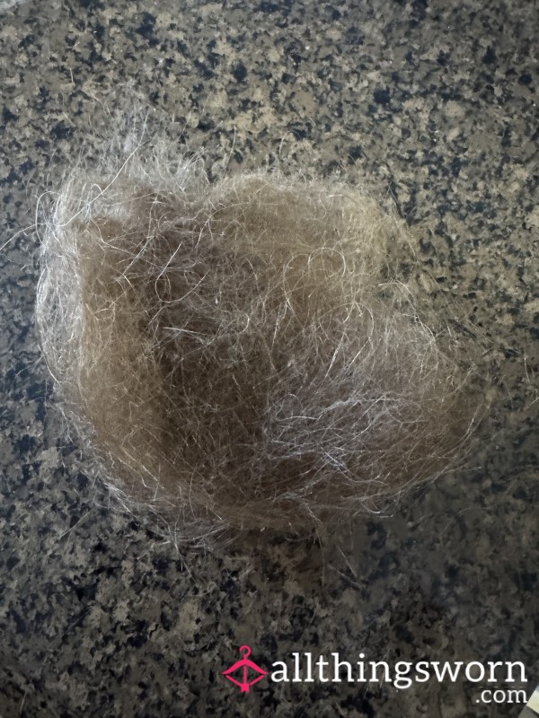 Hair From My Hair Brush