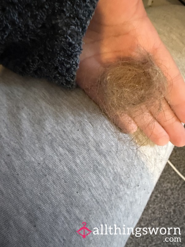 Hair From My Hair Brush