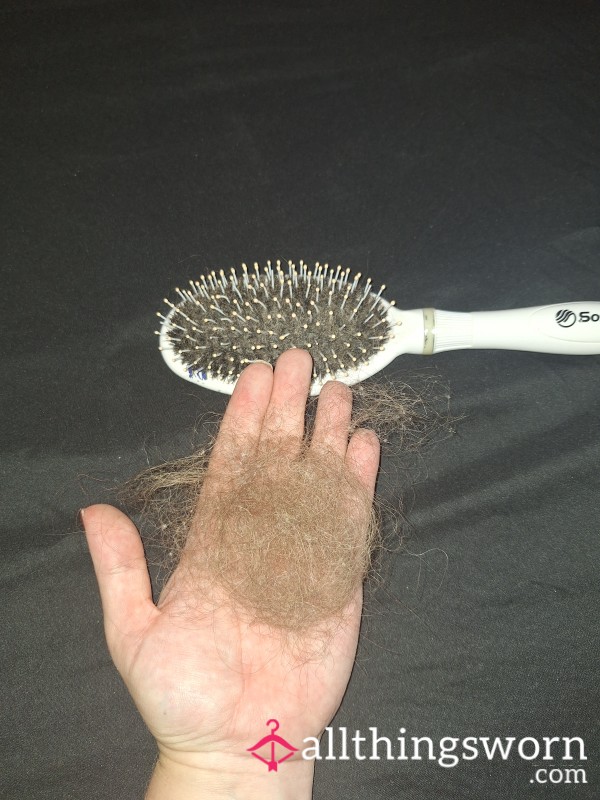 Hair From My Hair Brush