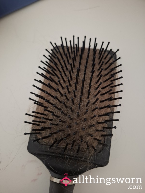Hair From My Hair Brush