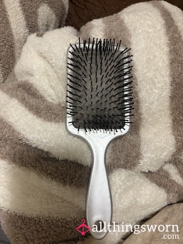 Hair From My Hair Brush