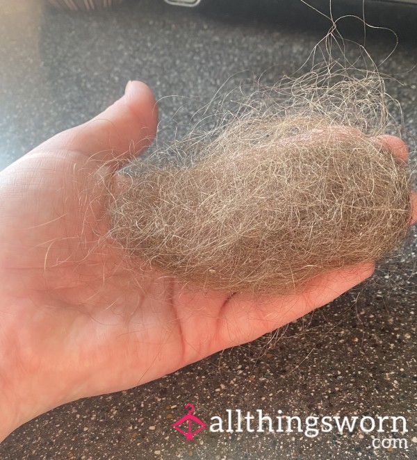 Hair From My Hair Brush