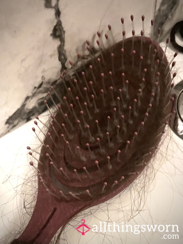 Hair From My Hair Brush X