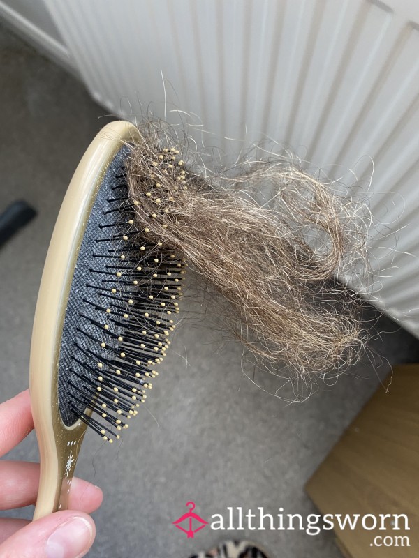 Hair From My Hairbrush - 1 Weeks Worth