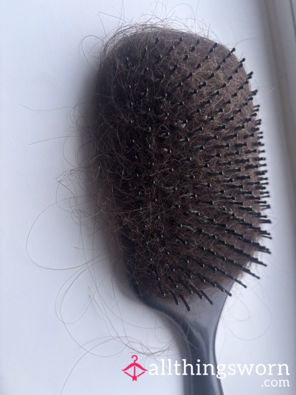 Hair From My Hairbrush
