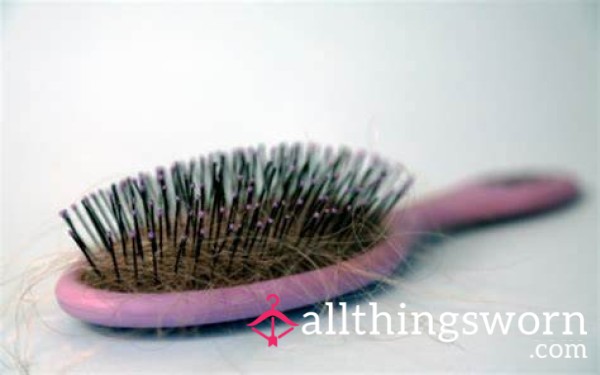 Hair From My Hairbrush