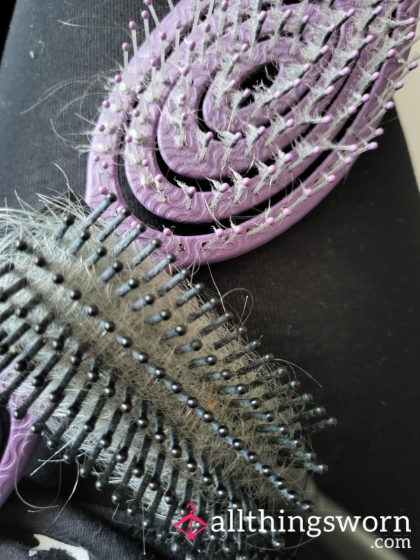 Hair From My Hairbrush