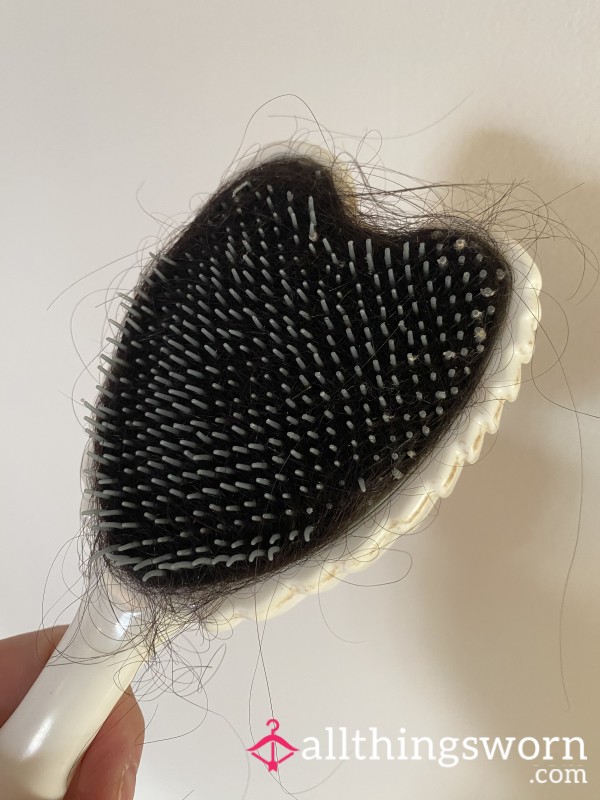 Hair From My Hairbrush