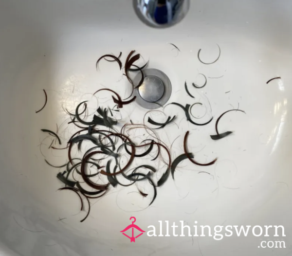 Hair From My Last Haircut