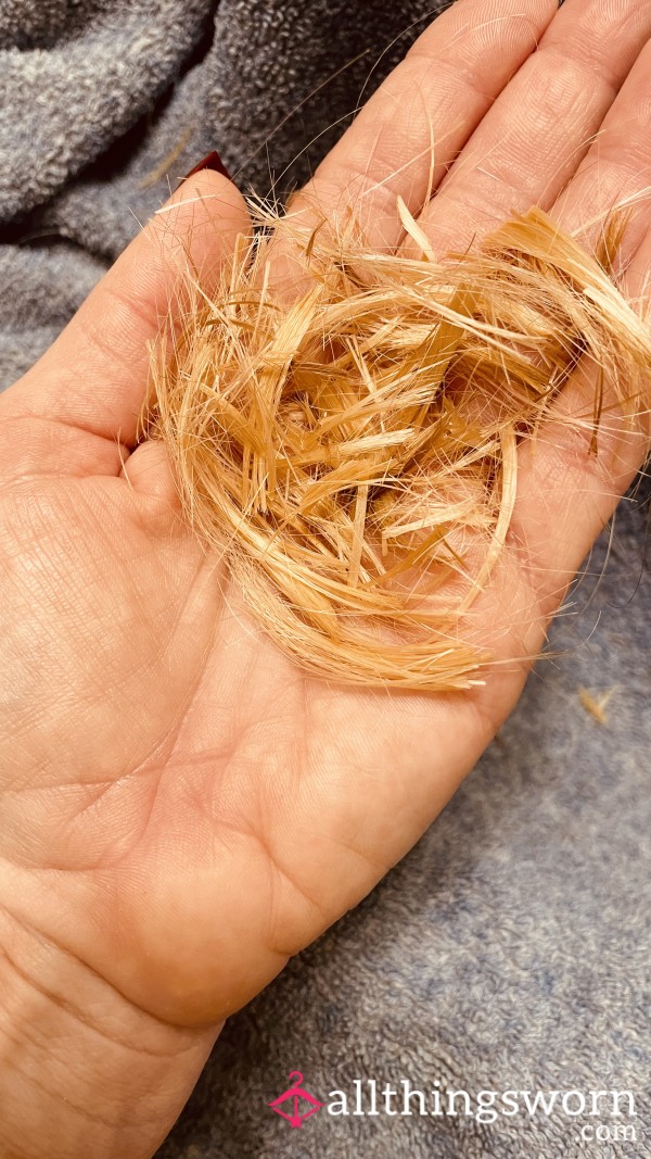 Hair From My Trim