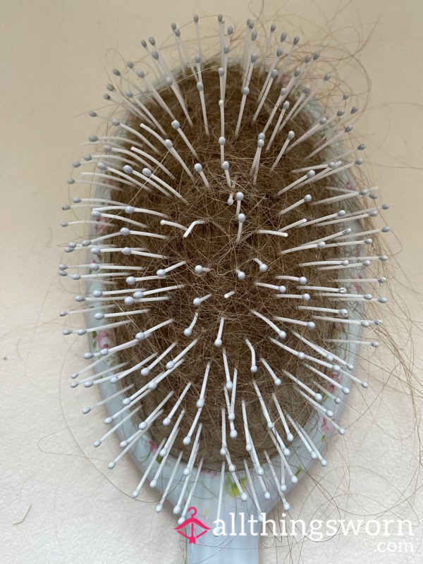 Hair On Hairbrush