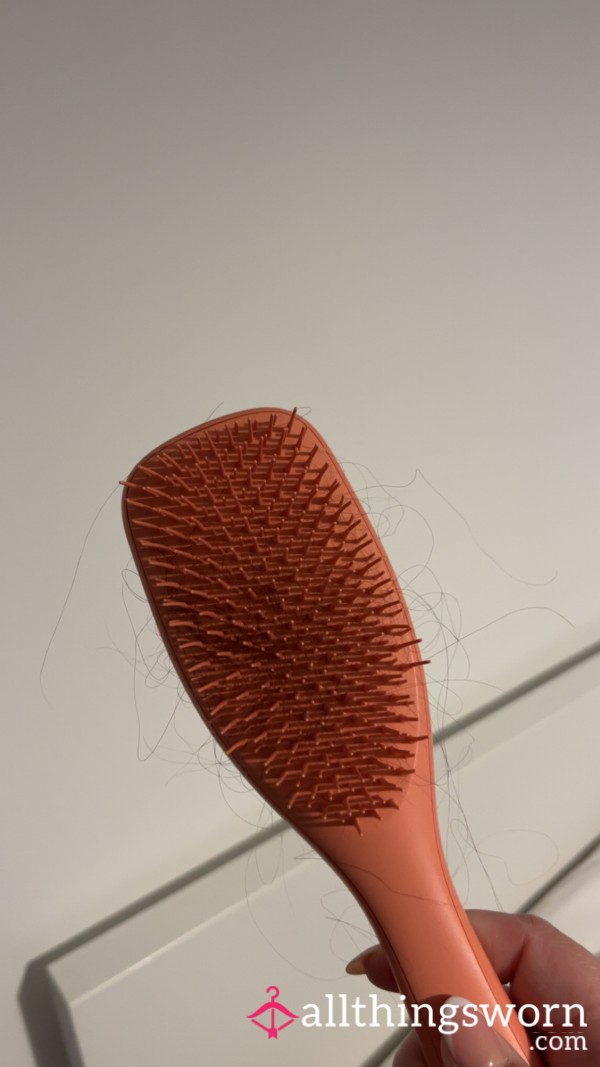 Hairbrush