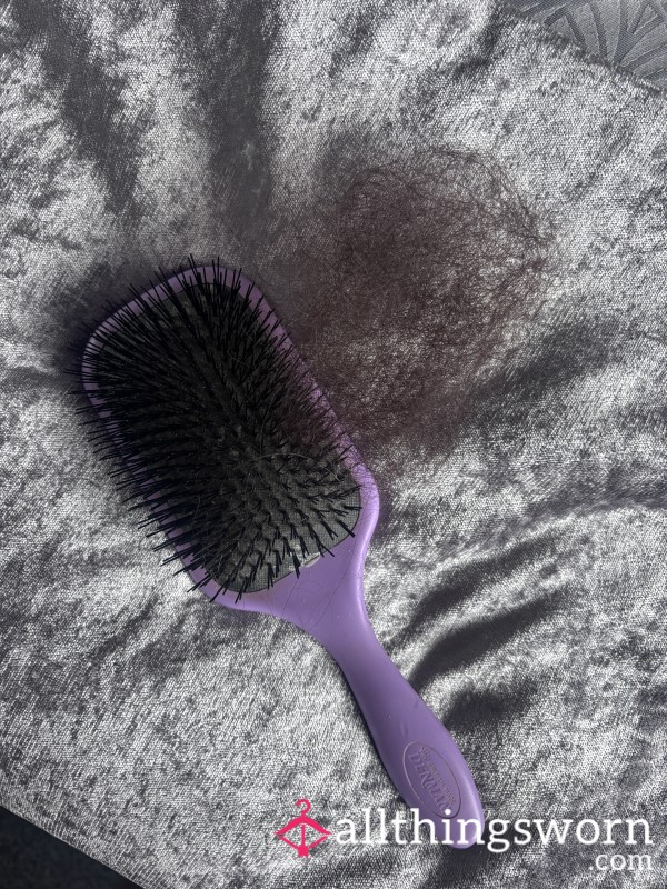 Hairbrush And Hair