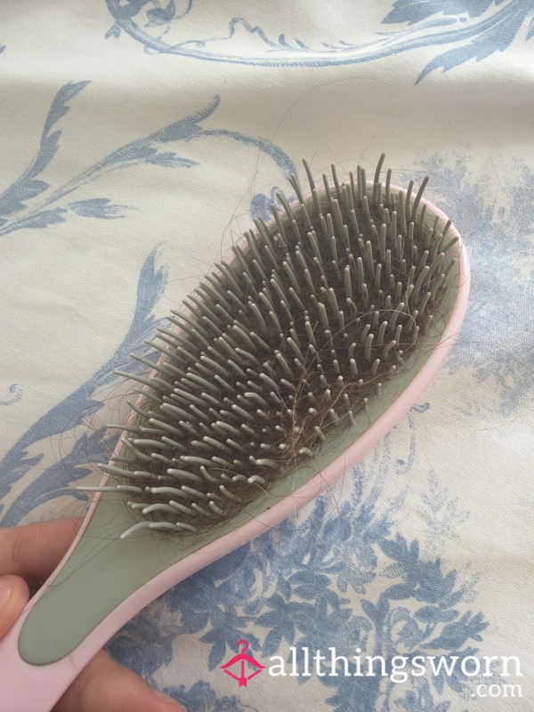 Hairbrush And Hair