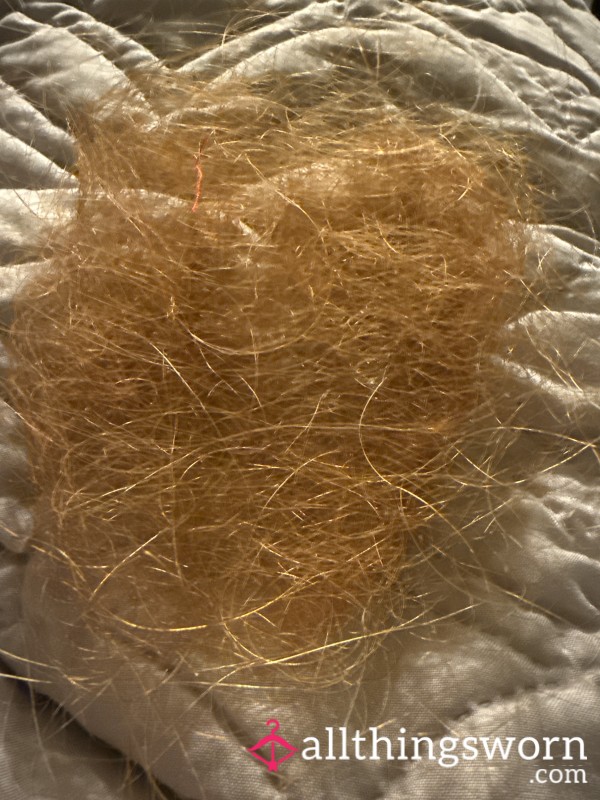 Hairbrush Collection