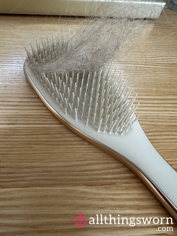 Hairbrush Contents Long Dirty Blonde Lady