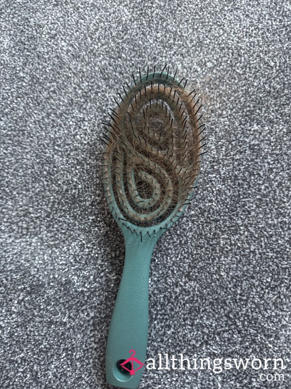 Hairbrush Filled With All My Locks