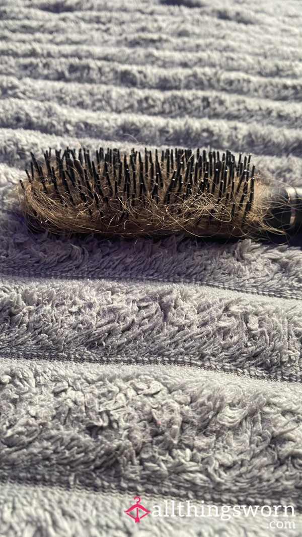 Hairbrush Full Of Curly Hair 🪮