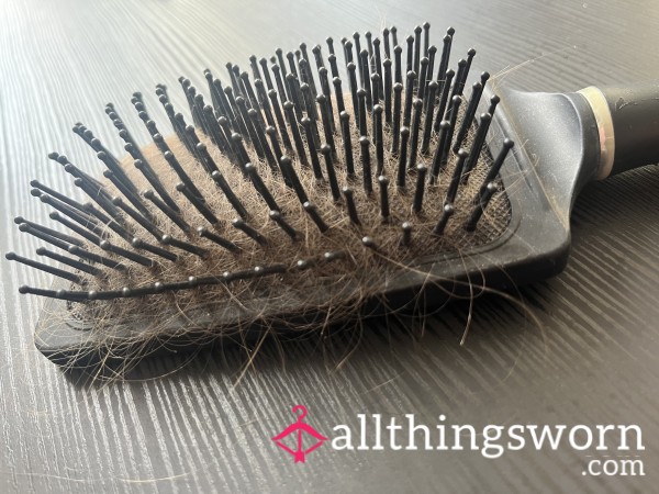Hairbrush Hair