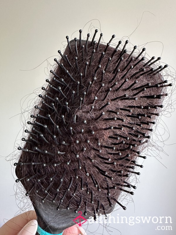 Hairbrush Hair
