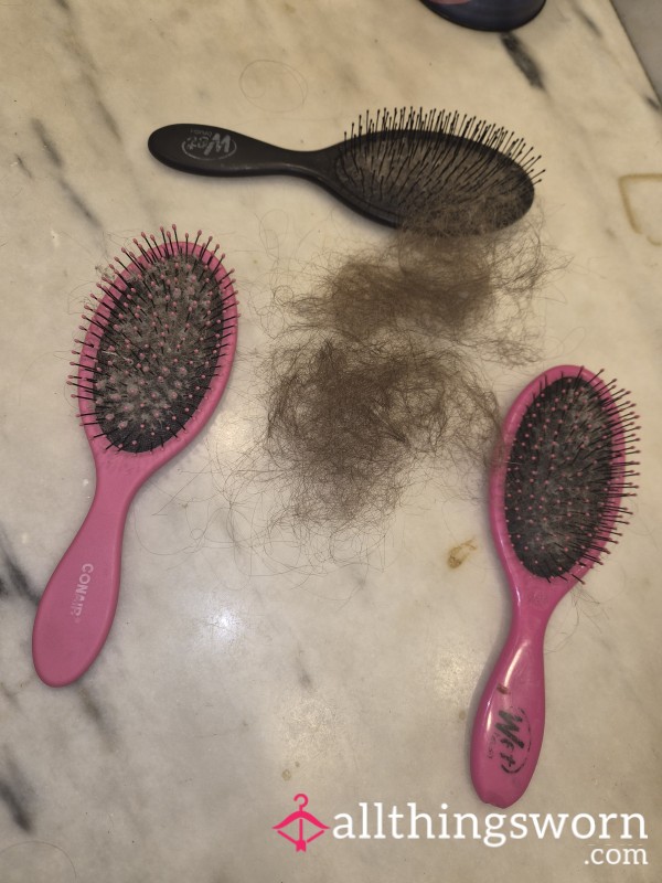 Hairbrush Hair