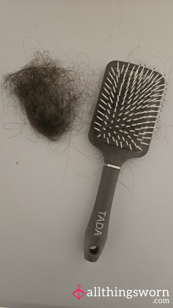 Hairbrush Hair