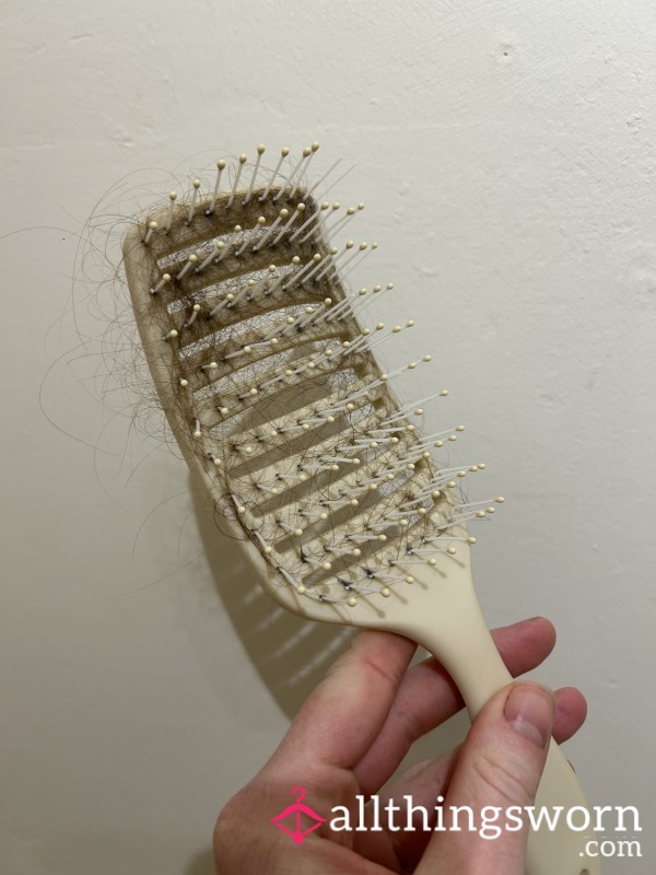 Hairbrush Hair