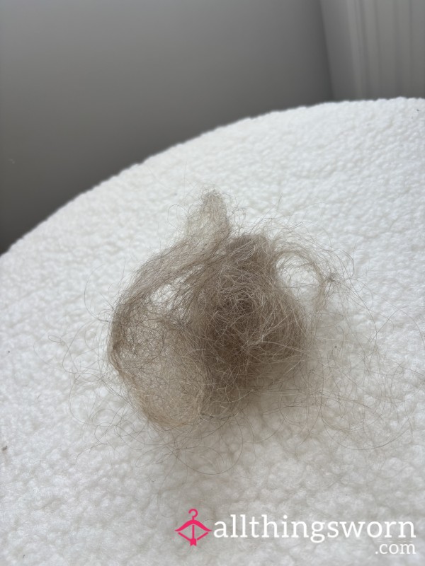 Hairbrush Hair