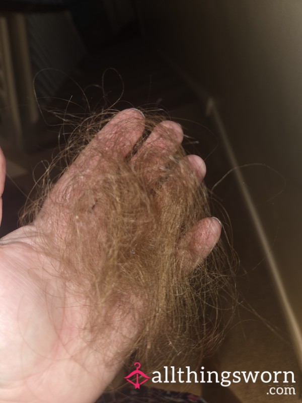 Hairbrush Hair