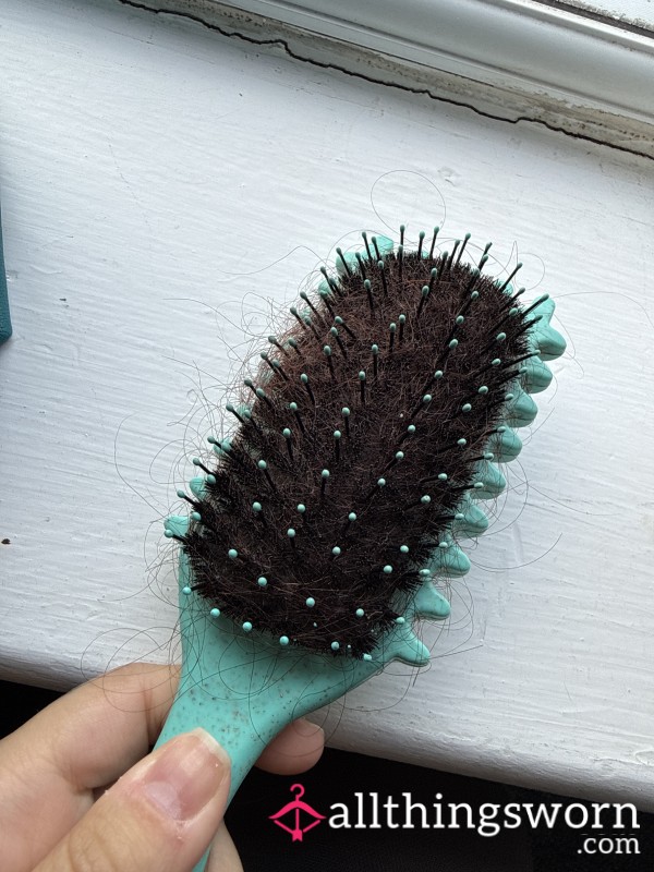 Hairbrush Hair