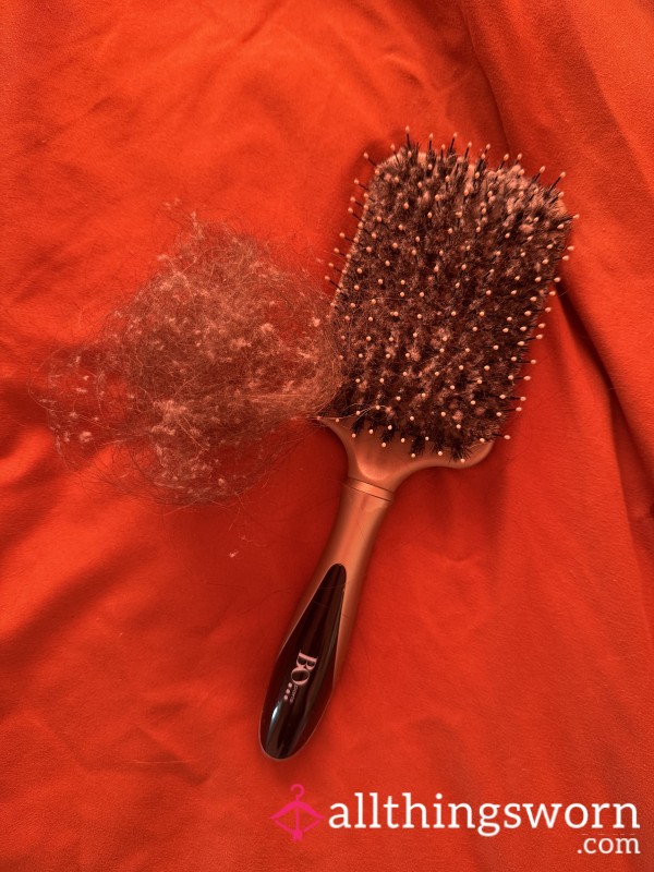 Hairbrush Hair & Dust!