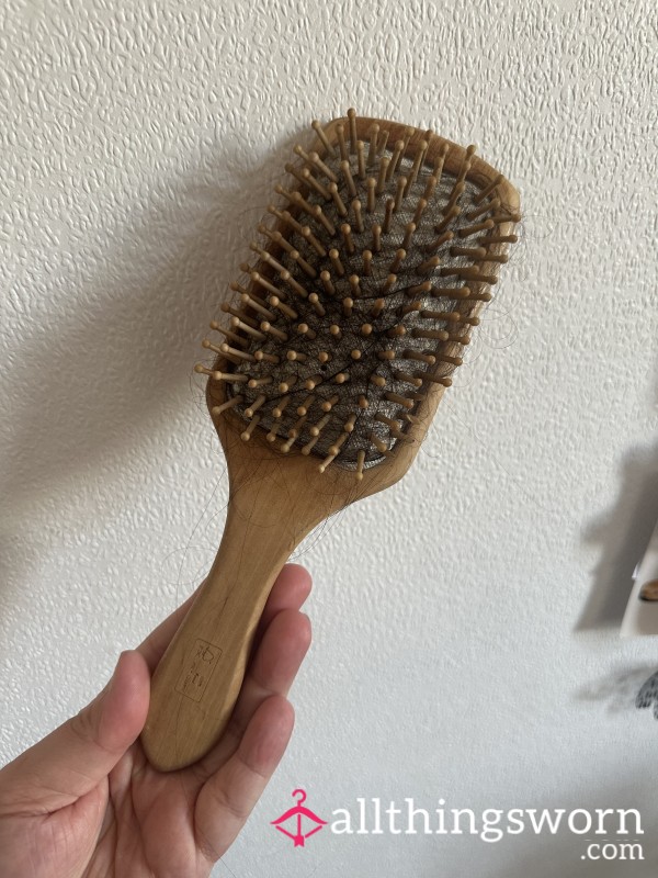Hairbrush (hair Included)