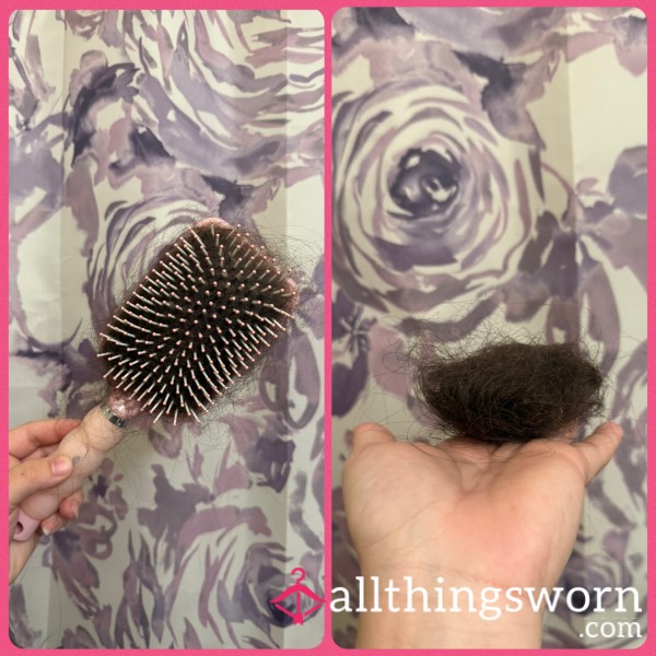 Hairbrush Hair, Long And Thick Brown And Curly