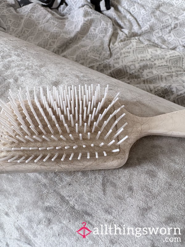 Hairbrush With Hair