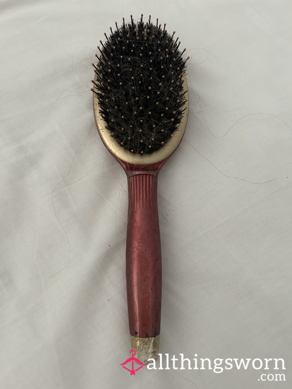 Hairbrush/di**o