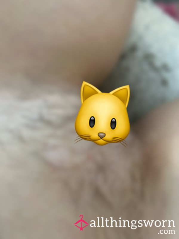Hairy 🐱 Pics