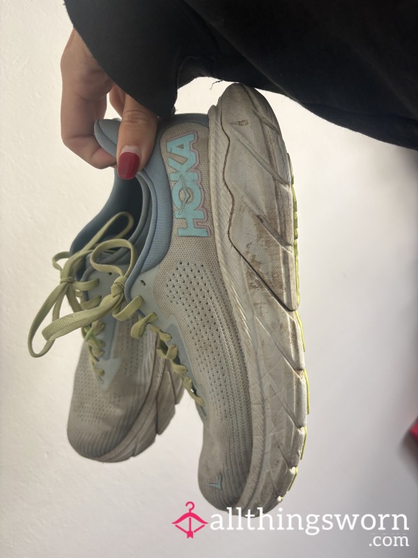 Half Marathon Trainers