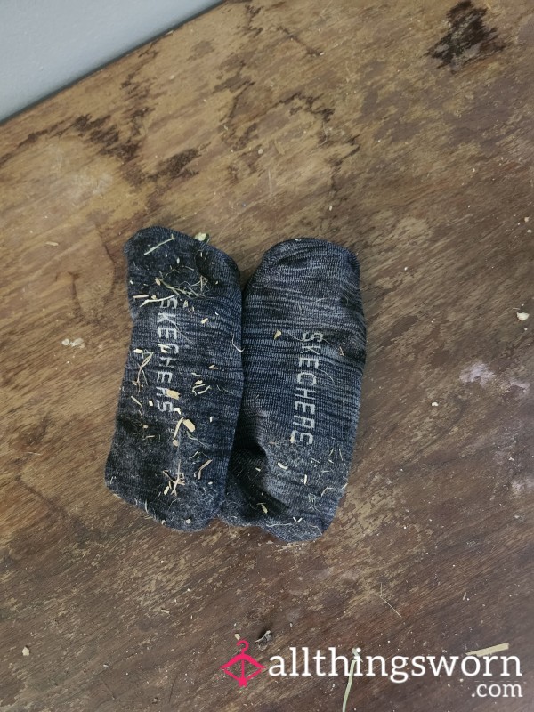 Hamper Socks