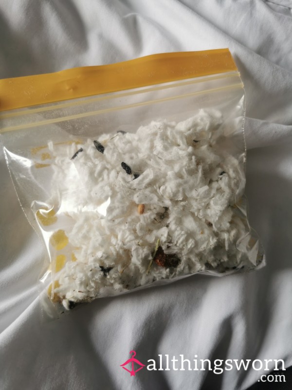 Hamster Bedding Used
