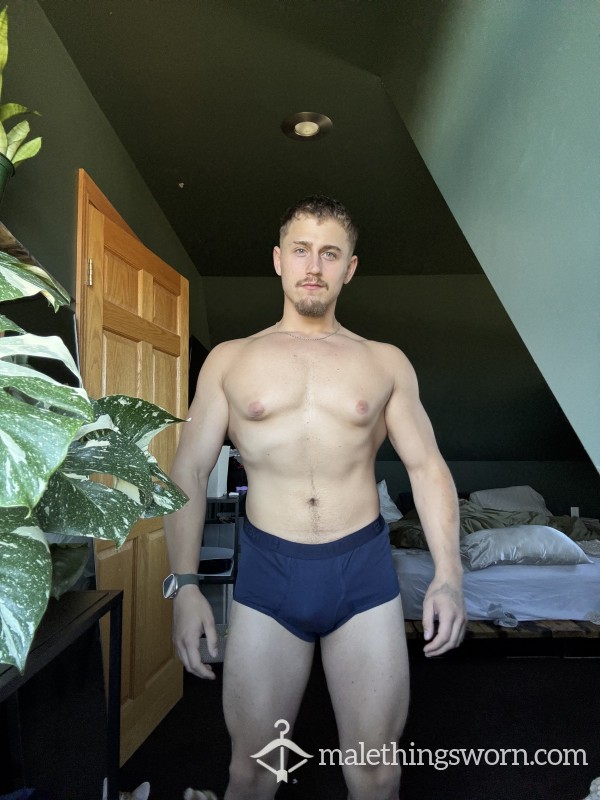 Hanes Brief Dark Blue Size L