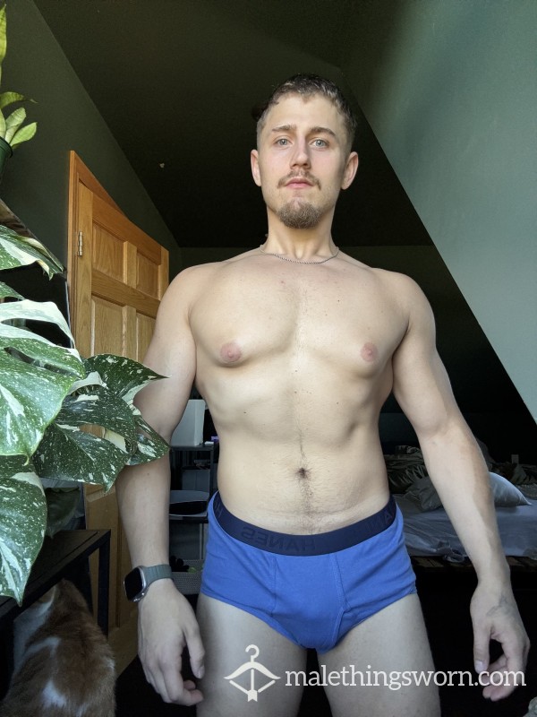 Hanes Briefs Blue Size L