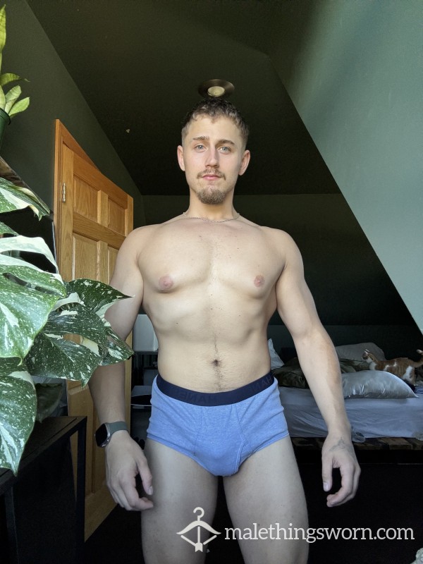 Hanes Briefs Light Blue Size L