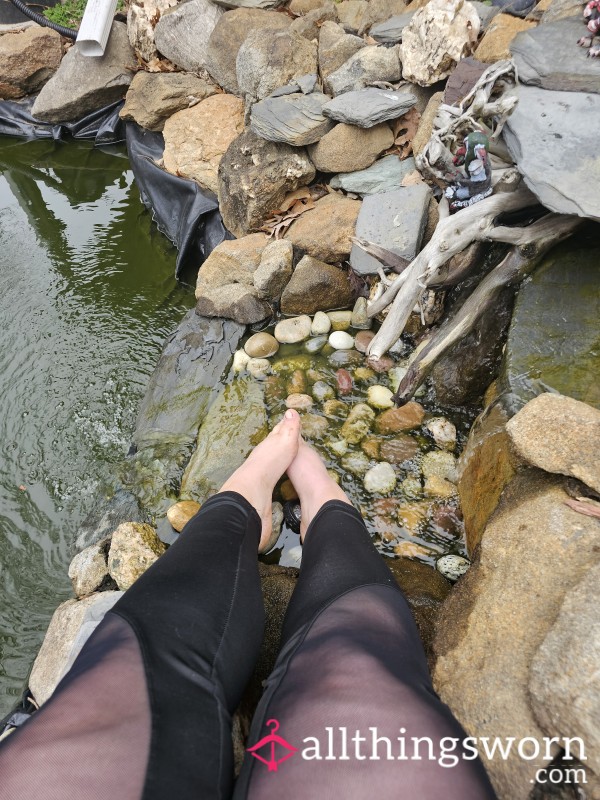 Hanging In My Own Back Yard