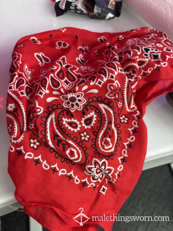 Hanky Left At Raunchy Piggy Orgy