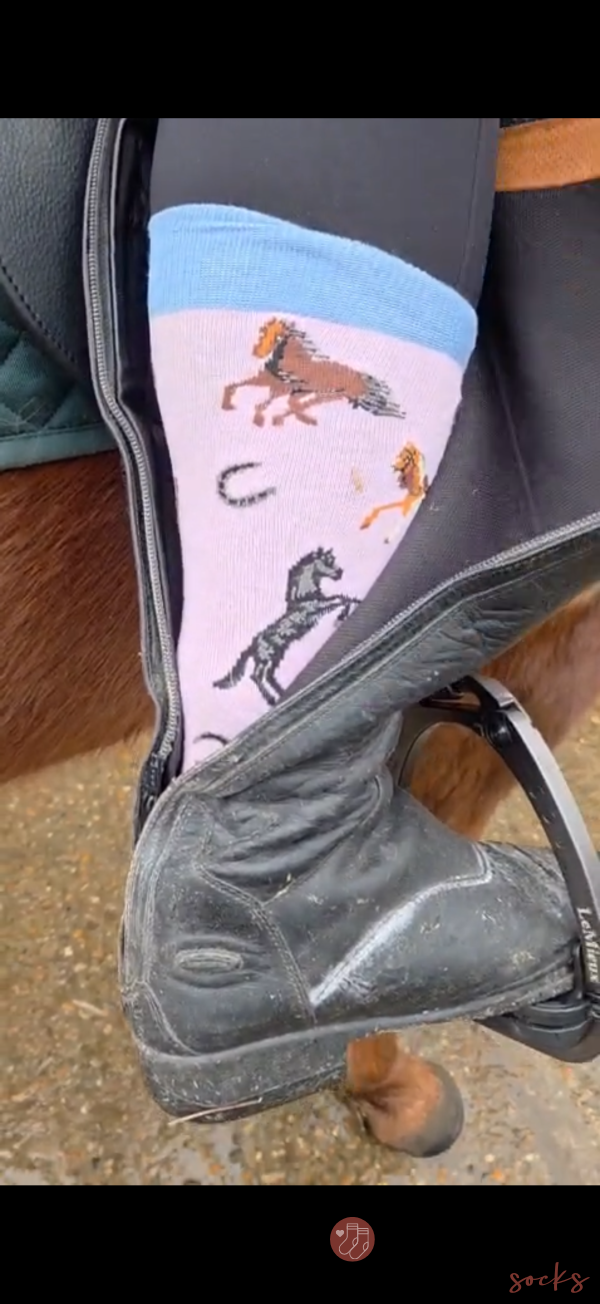 Hardworking Horse Socks