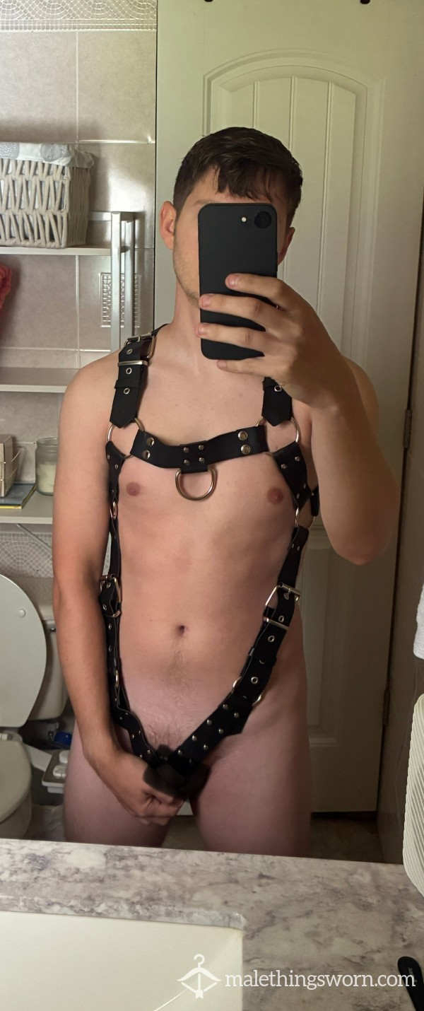Harness